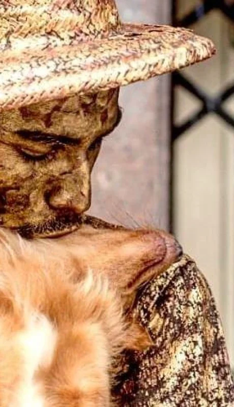 57488108_452135318665275_1466906130330094192_n