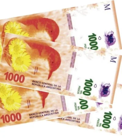 cuando-pagan-el-bono-de-anses