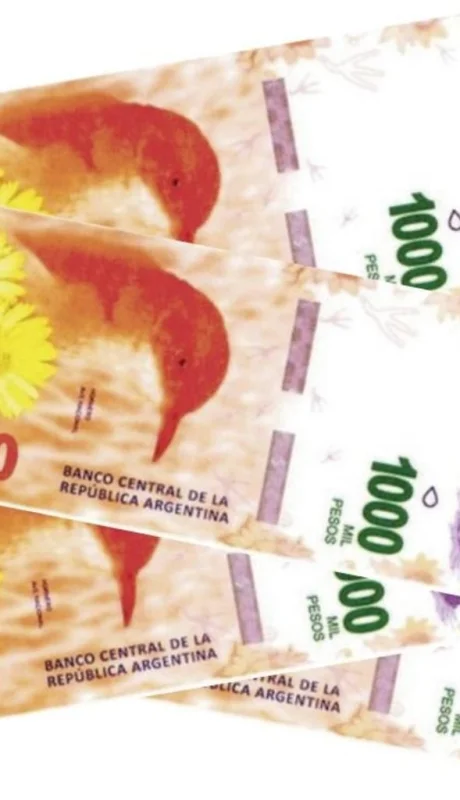 cuando-pagan-el-bono-de-anses