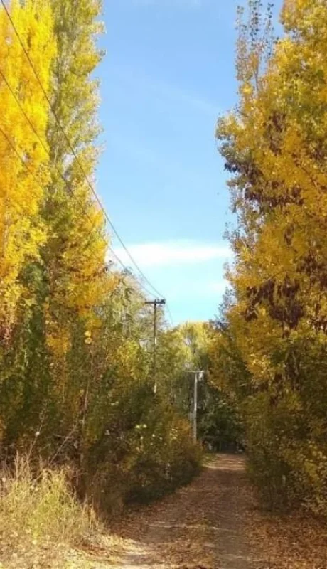 otoño-mendoza-tiempo-hoy-pronostico