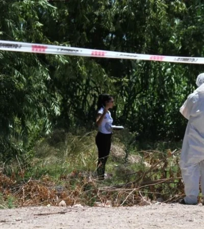 93390dea-6a93-4d69-a58e-7dedbcc70452