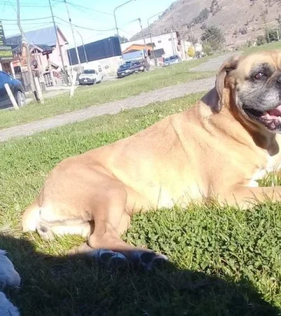 WhatsApp-Image-2019-12-17-at-20.13.27-(1)