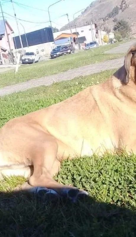 WhatsApp-Image-2019-12-17-at-20.13.27-(1)