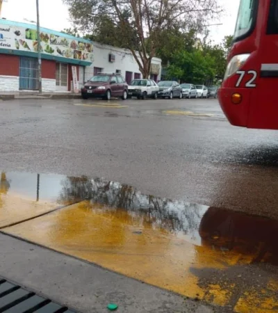 c0a42cc4-9c37-4d64-8e13-fef78f95ae03