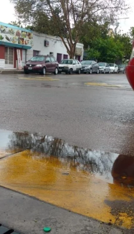 c0a42cc4-9c37-4d64-8e13-fef78f95ae03