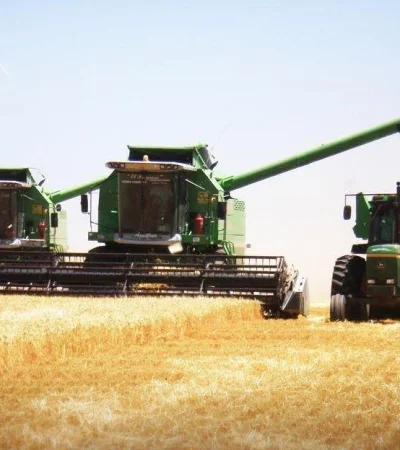 campo-argentino-decreto-impuestos