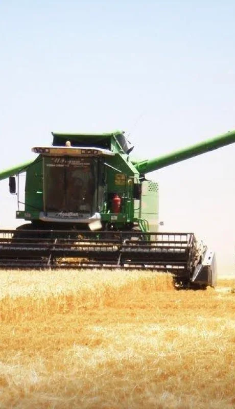 campo-argentino-decreto-impuestos