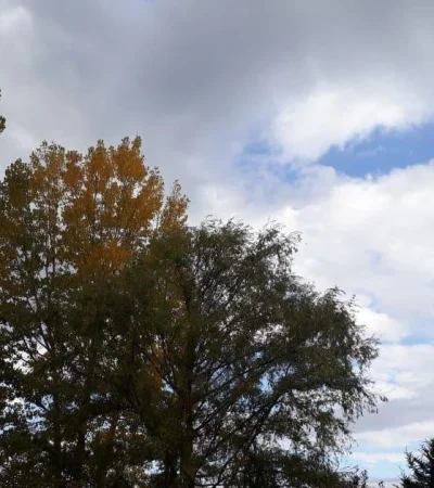 tiempo-mendoza-otoño-pronóstico-hoy-clima-6