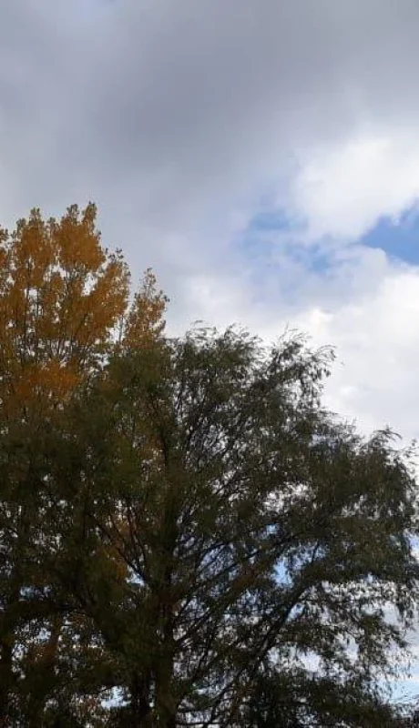 tiempo-mendoza-otoño-pronóstico-hoy-clima-6