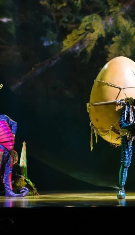 0_Cirque-du-Soleil-8