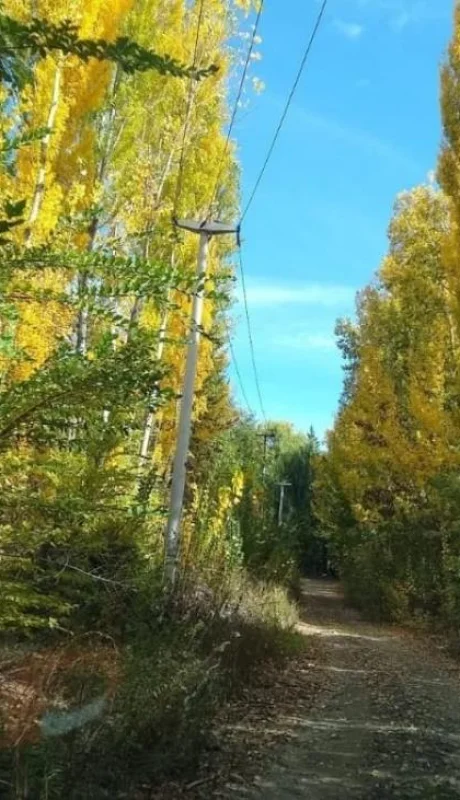 otoño-mendoza-tiempo-hoy-pronostico-2