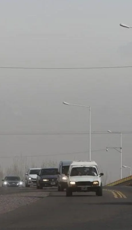 WhatsApp-Image-2019-07-21-at-14.28.24