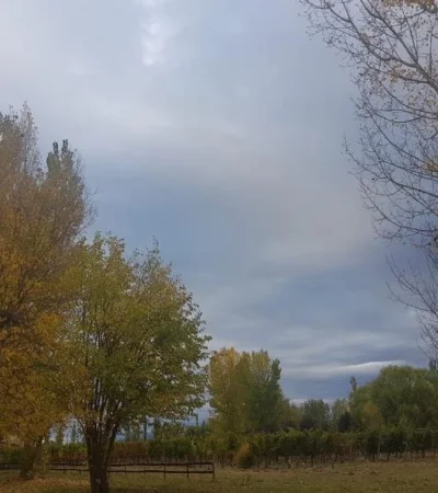 tiempo-mendoza-otoño-pronóstico-hoy-clima-8
