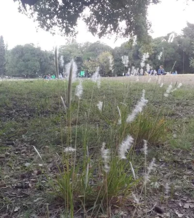 mendoza-tiempo-hoy-pronóstico