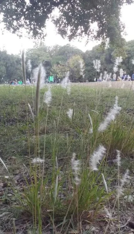 mendoza-tiempo-hoy-pronóstico