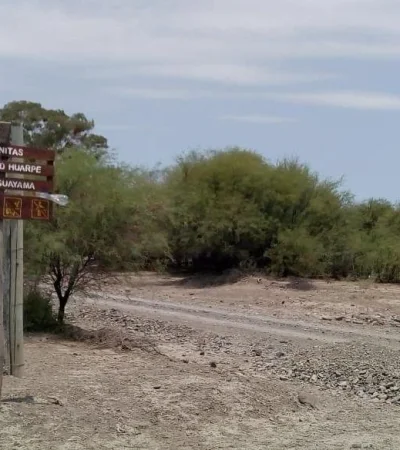 WhatsApp-Image-2020-01-19-at-17.06.33