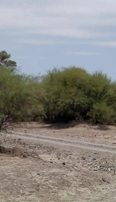 WhatsApp-Image-2020-01-19-at-17.06.33