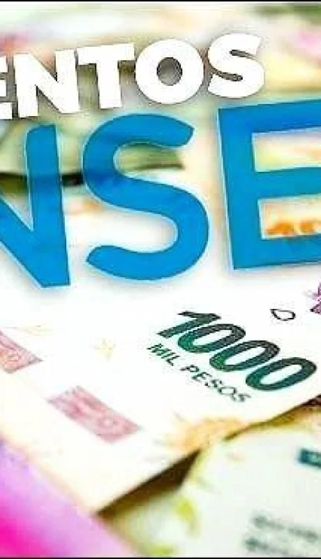 anses-que-cobro-marzo-2020