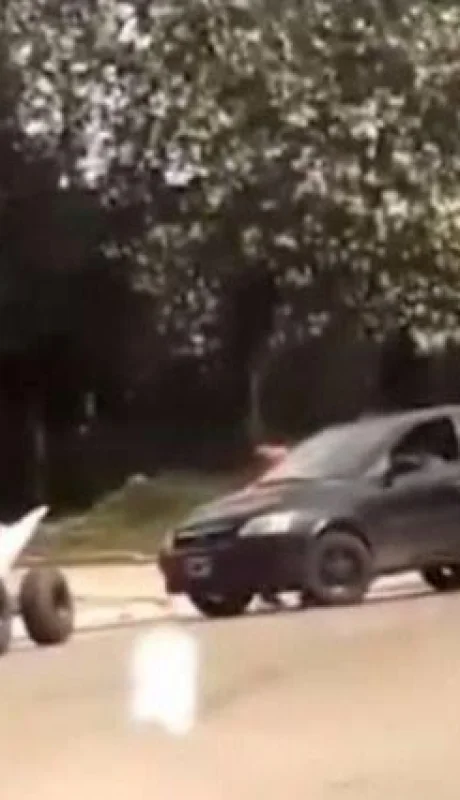 f800x450-95631_147077_5050