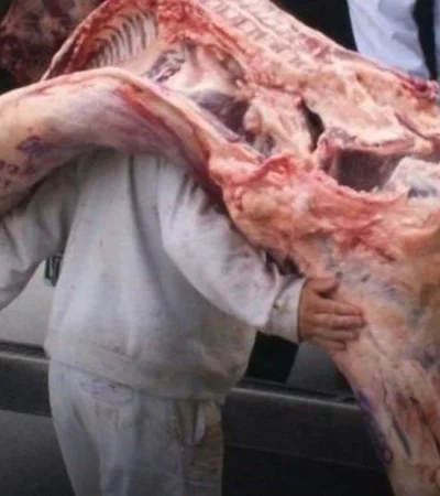 media-res-carnicería-foto-ley-trabajo