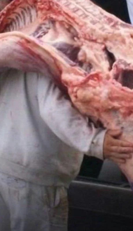 media-res-carnicería-foto-ley-trabajo