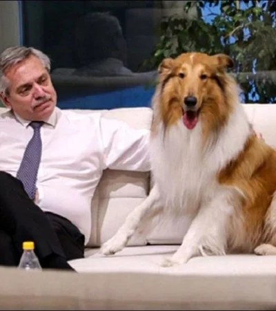 alberto-fernandez-perro-dylan