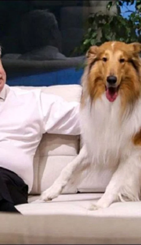 alberto-fernandez-perro-dylan