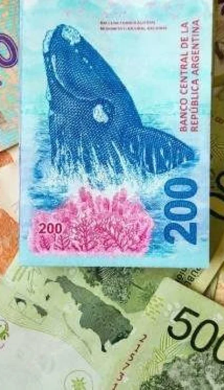 calendario-de-pagos-anses-enero-2020