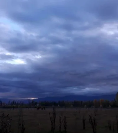 WhatsApp-Image-2019-04-22-at-07.37.36