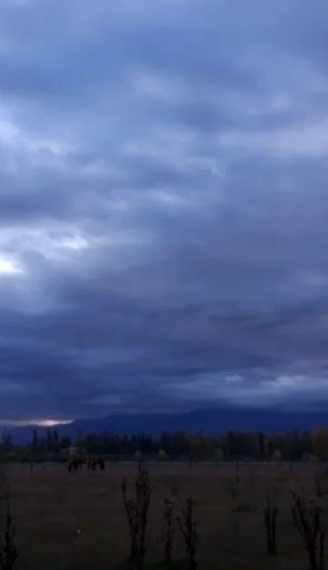 WhatsApp-Image-2019-04-22-at-07.37.36