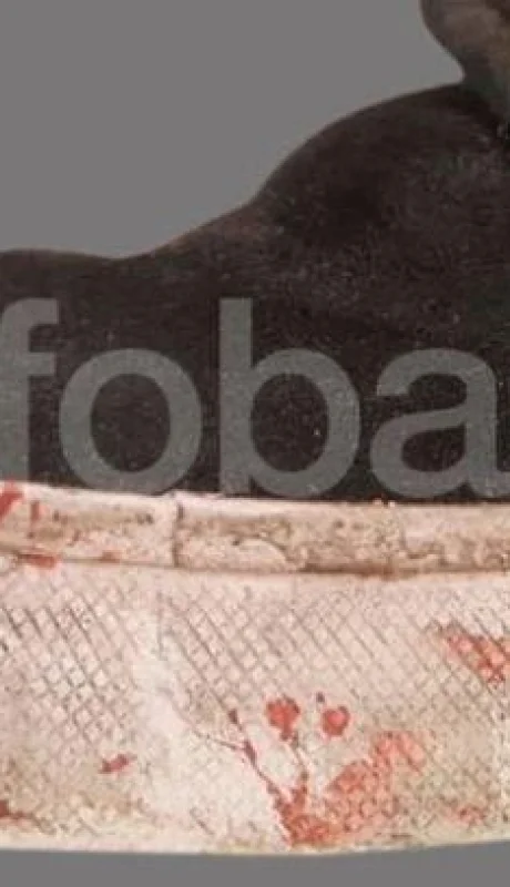 fernando-báez-sosa-zapatilla