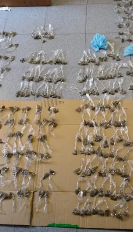 marihuana-droga-campo-pappa-policiales-mendoza