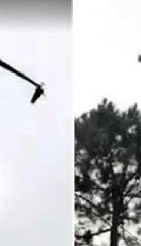 cordero-famosos-repudio-redes