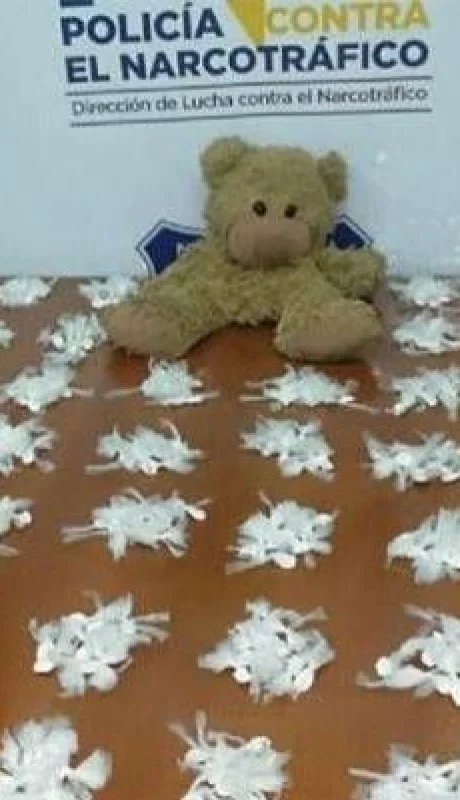 cocaína-oso-peluche