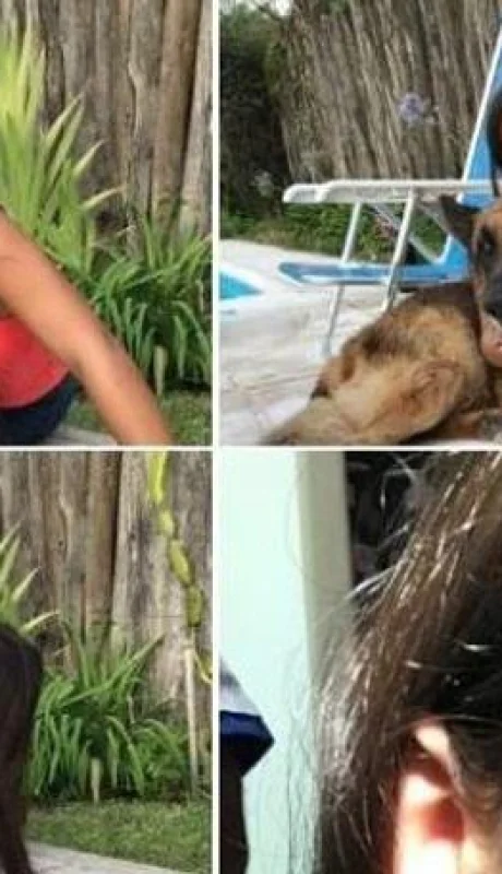 perro-fotos-mascota-ataque-kenai-chica-2