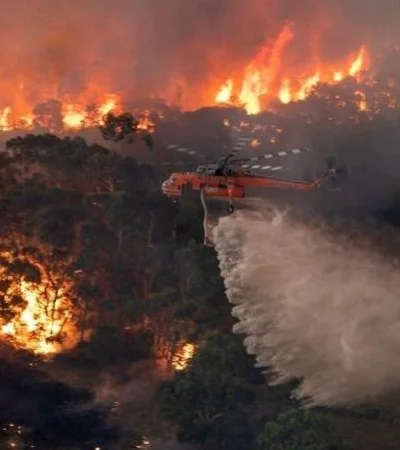 humo-australia-argentina