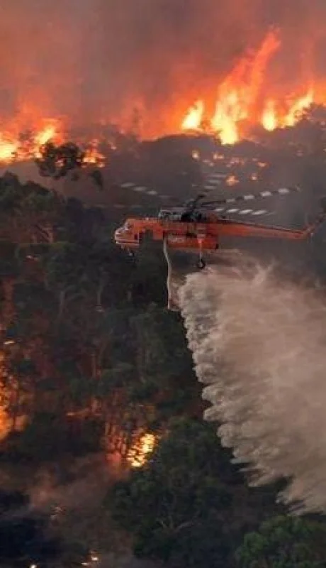 humo-australia-argentina