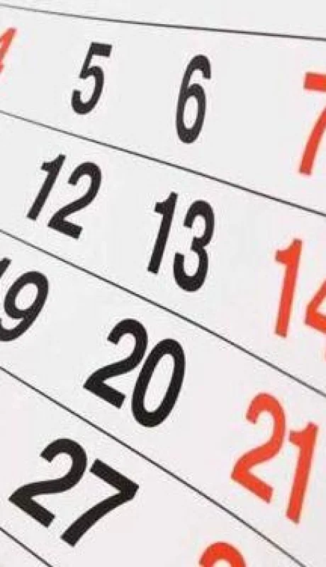 anses-calendario-de-pagos-febrero