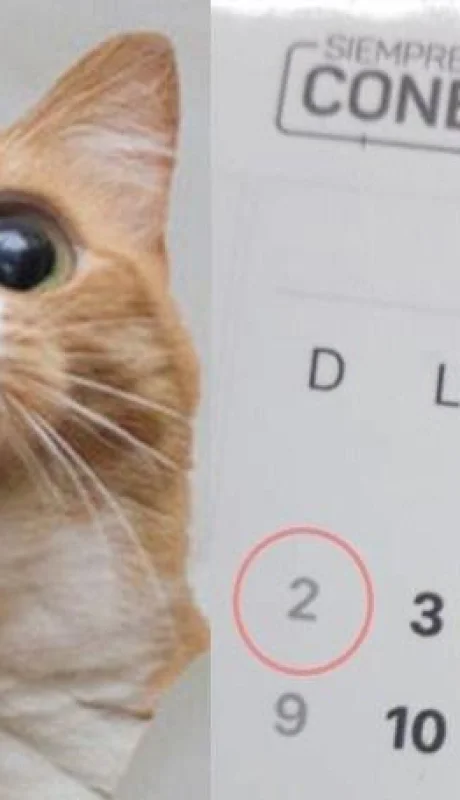 año-capicúa-número-fotos-suerte-55