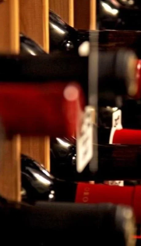 Exportación-de-vinos-mendoza