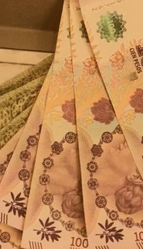 liquidacion-cuna-febrero-2020