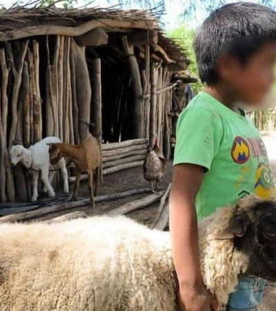Salta-niños-wichís-desnutrición