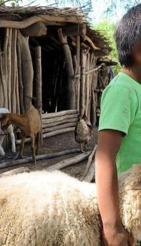 Salta-niños-wichís-desnutrición