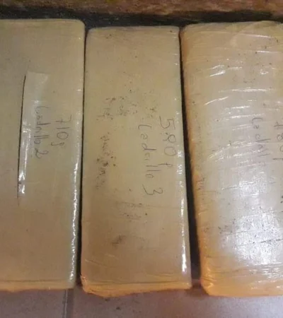 marihuana-droga-ladrillos-policiales-fotos-las-heras