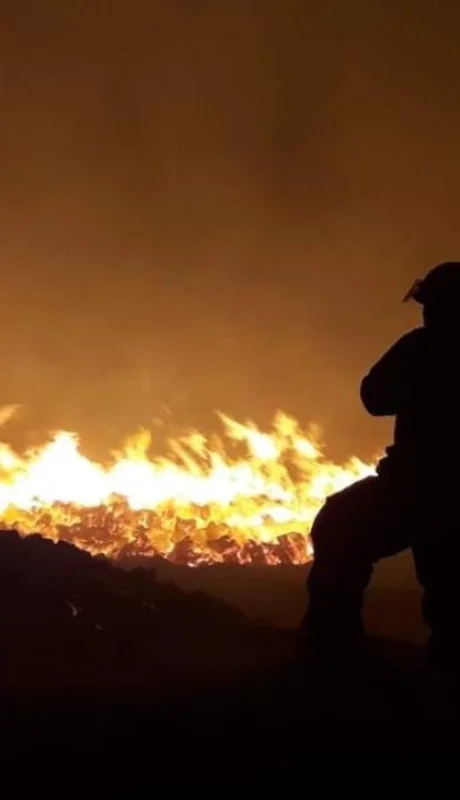 WhatsApp-Image-2019-12-25-at-10.56.41