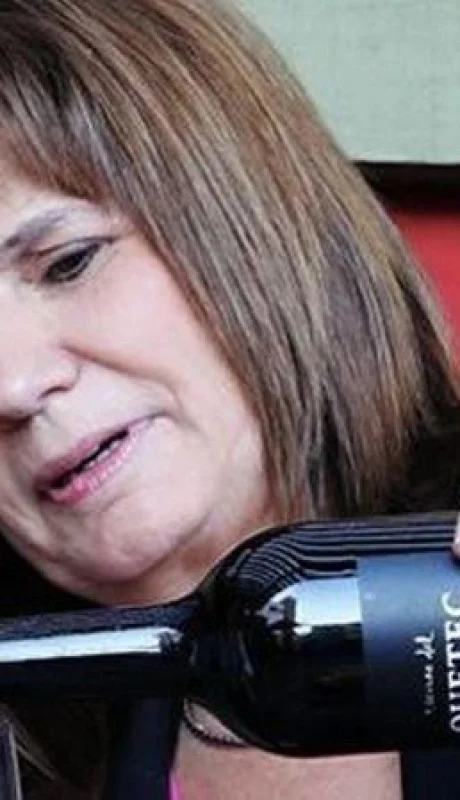 vino-patricia-bullrich-memes-fotos