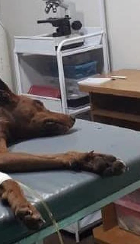 87545789_1641217516017594_877268944476438528_n