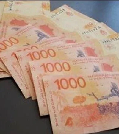 formulario-anses-bono-10000