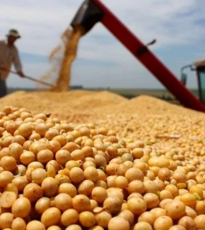 Por el derrumbe del precio de la soja, dejarían de ingresar US$ 7.700 millones al Banco Central