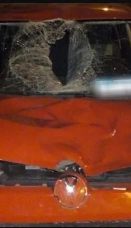 WhatsApp-Image-2020-03-10-at-11.55.46